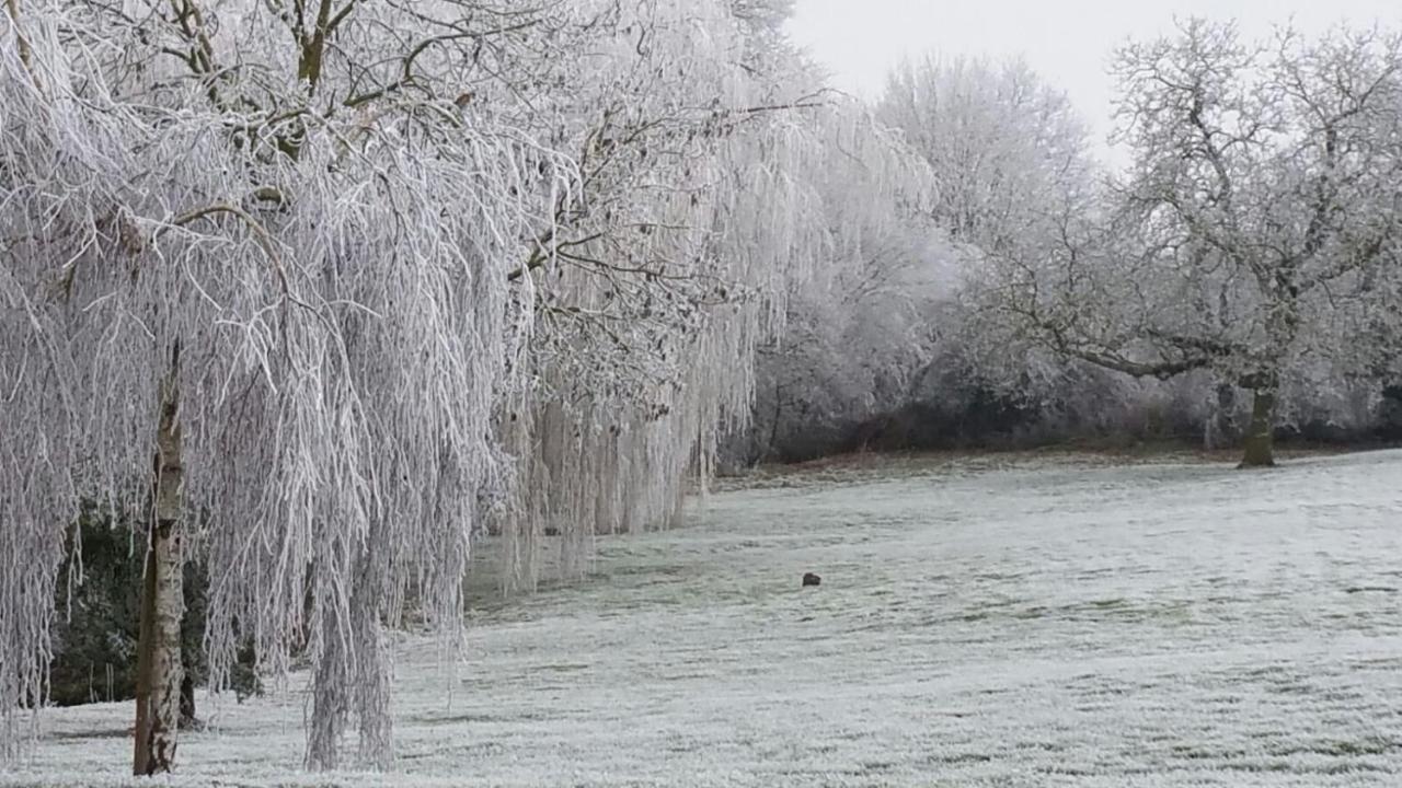 La Minaudière Nueil-sous-les-Aubiers Esterno foto